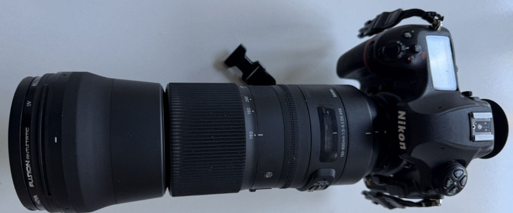 Nikon D850 + sigma telecnverter1.4X TC-1401. Харьков - изображение 3