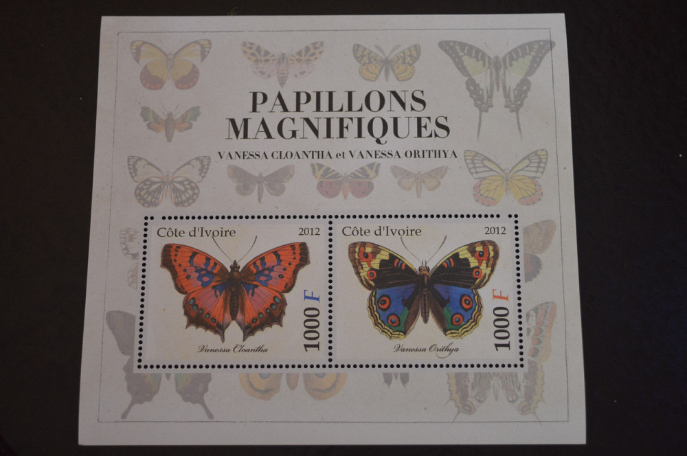 Кот-д’Ивуар. Фауна. Блок. 2015 год (В-6) Полтава - изображение 1