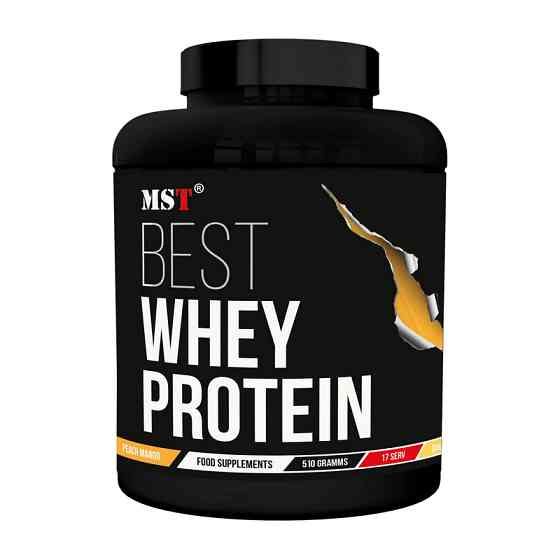 Best Whey Protein + Enzyme (510 g, vanilla ice cream) Луцьк