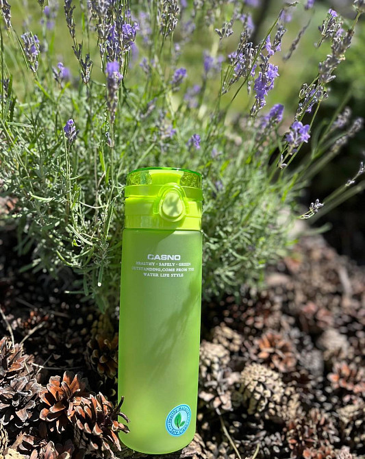 Розпродаж - Пляшка для води CASNO 650 мл KXN-1157 Зелена Кам'янське - фото 2