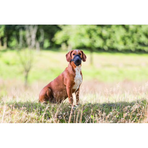 Намордник Trixie для собак для защиты от ядов L черный Киев - изображение 8