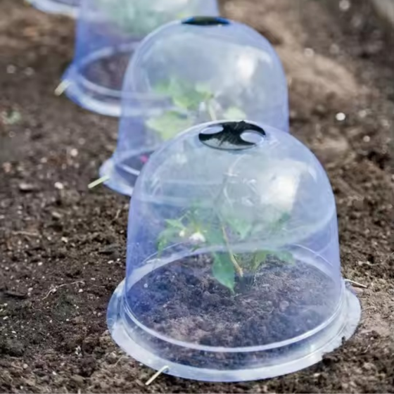 Набор колпаков 2 шт ,садовые пластиковые для сада и огорода защитные для рассады и цветов размер 26х20 см Каменец-Подольский