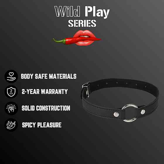 Нашийник - Erospace Wild Play Choker With Ring C17 Sex Aura Київ