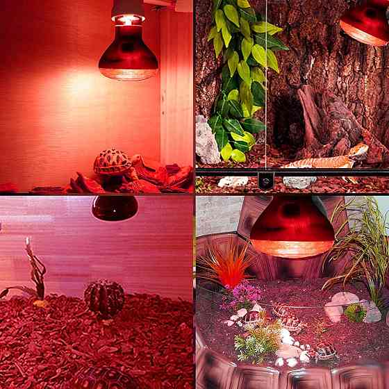 Инфракрасная лампа 100 Вт для террариумов и рептилий Киев