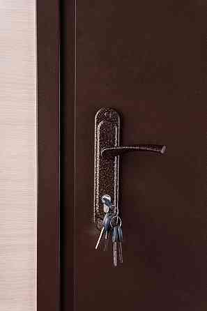 Двери Металл/ДСП, Шагрень 8017 снаружи, внутри ДСП 16 мм, коробка 60 мм, полотно 50, 950 Киев