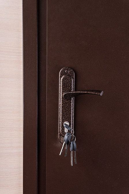 Двері Метал/ДСП, Шагрень 8017 зовні, всередині ДСП 16 мм, коробка 60 мм, полотно 50, 950 Київ - фото 3