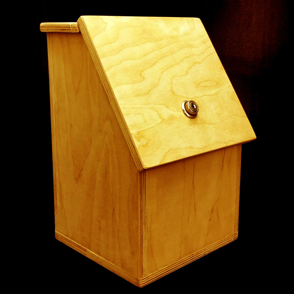 Ящик для збору грошей "Ріфа" каррі Миколаїв - фото 2