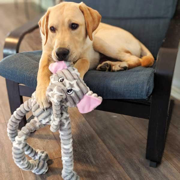 Іграшка для собак Patchwork Pet Ellie Elephant (Печворк ПтСлон Еллі) Запоріжжя - фото 4