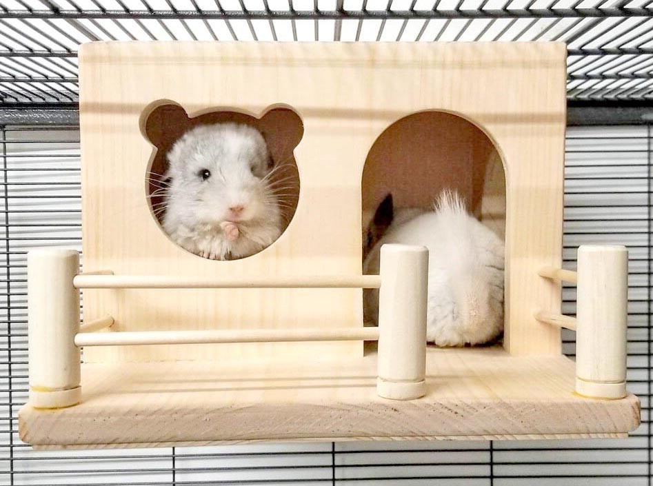 Домик для шиншиллы 