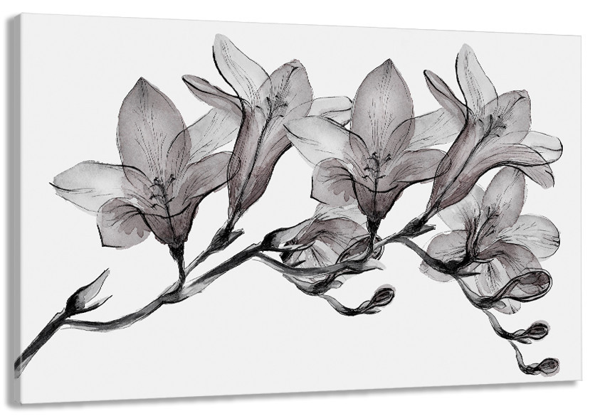 Картина полотно у вітальню / спальню    Магнолія   MLP_198   ( 60х30см ) 80х160см Київ - фото 1