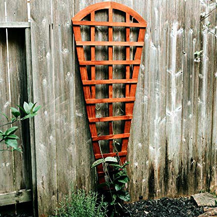 Опора для плетущихся 