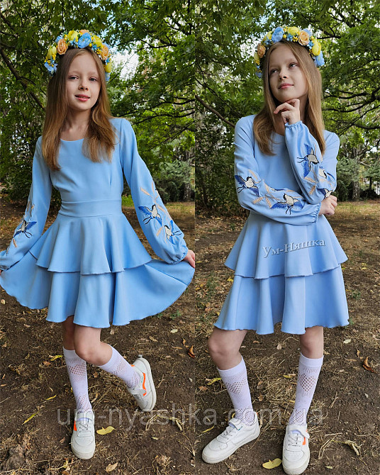 Дитяче плаття з вишивкою на рукавах Поділля-ластівки Кривий Ріг - фото 1