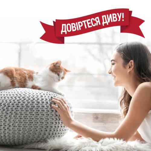 Средство 8in1 Nature_s Miracle Cat Stain and Odor Remover Spray для устранения пятен и запахов от кошек 946 мл Киев