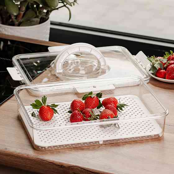 Yiwu Контейнер для їжі з ручкою 31х24х7 см пластиковий харчовий контейнер 2.5 л HP-27-10 Коломыя