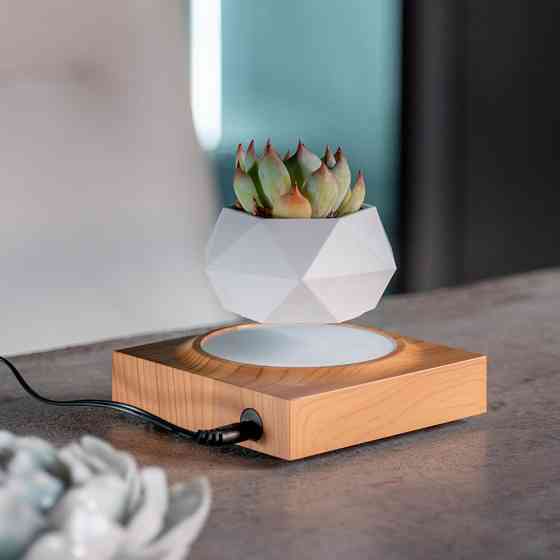 Магнітний левітаційний горщик для рослин HCNT Magnetic Levitating Pot M10-FP  Wood Grain Київ