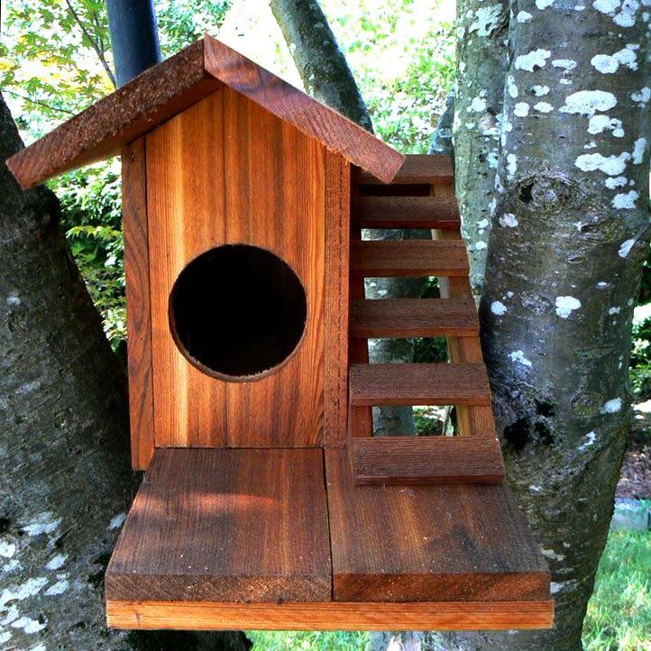 Домик для белок 