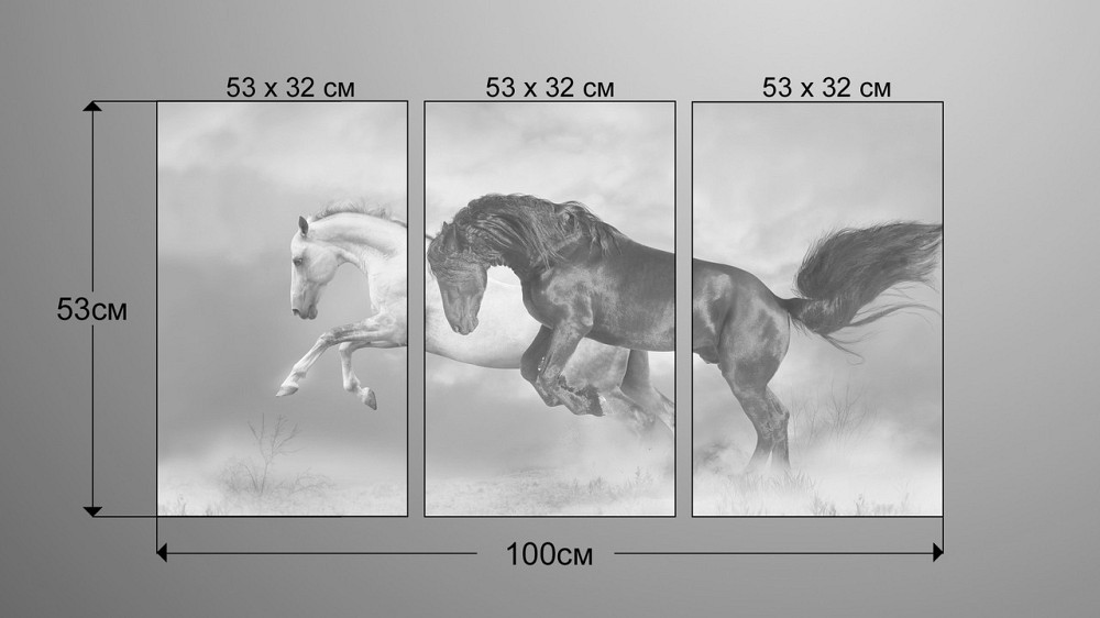 Модульна картина Природа Коні Art-40_3А Київ - фото 3