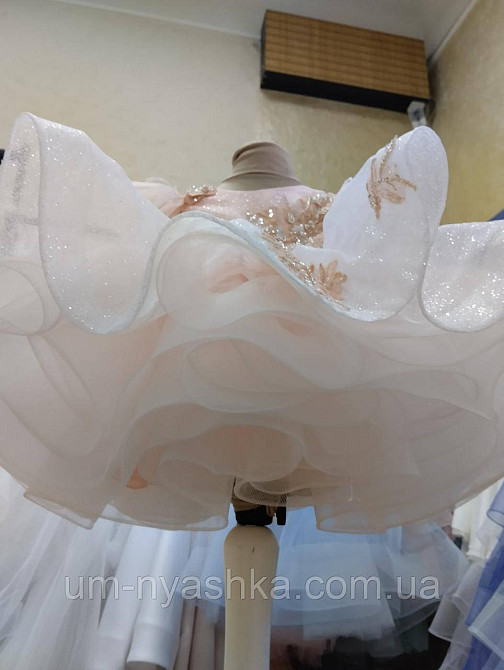 Красивое платье на годик Кривой Рог - изображение 2