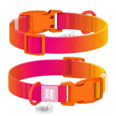 Нашийник для тварин WAUDOG Nylon Recycled з QR паспортом, градієнт, M помаранчевий (47014) Вінниця