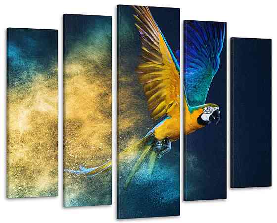 Модульна картина у вітальню / спальню Барвистий папуга Art-299_5 ( 80х118см ) Київ