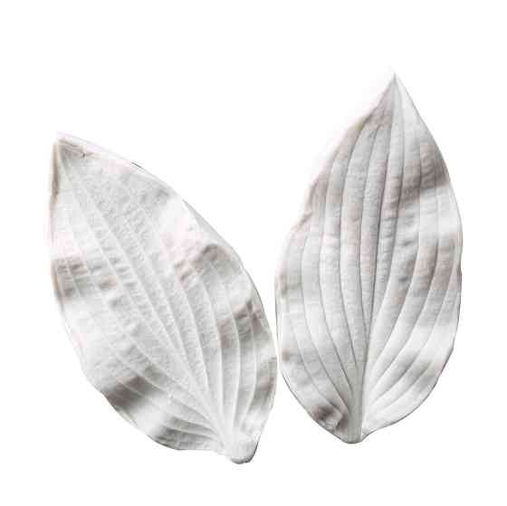 Силіконовий молд Листя лілії 95 на 45 мм білий Київ