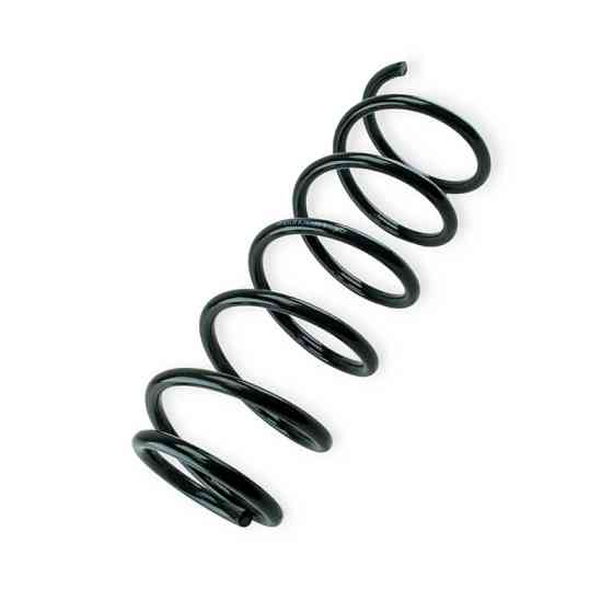 Пружина ZAZ Forza FT 2987-12AC передняя Мукачево