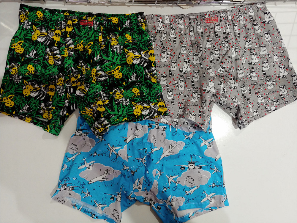 Трусы мужские Шорты Lans 06/040 XL, Жирафы Киев - изображение 3