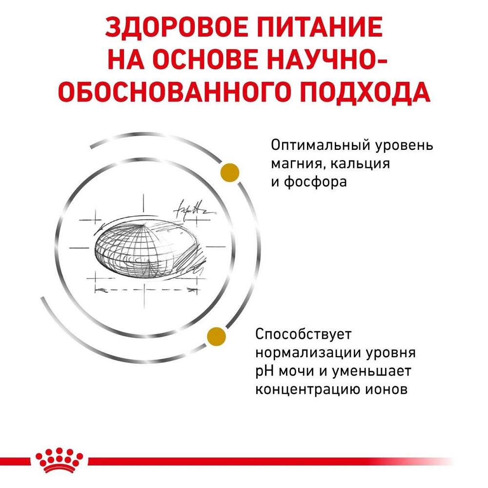 Royal Canin Urinary S/O (Рояв Канін Урінарі С/О Фелін) сухий корм для котів при захворювання сечівних шляхів 3.5 кг. Запоріжжя - фото 3
