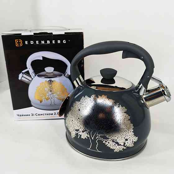 Чайники зі свистком наплитні Edenberg, Стильний чайник з нержавіючої сталі зі свистком CP-96 Івано-Франківськ