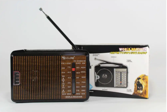 Радіоприймач GOLON RX-608 портативний з потужним динаміком, FM/AM/SW, USB/TF, акумуляторний Одеса