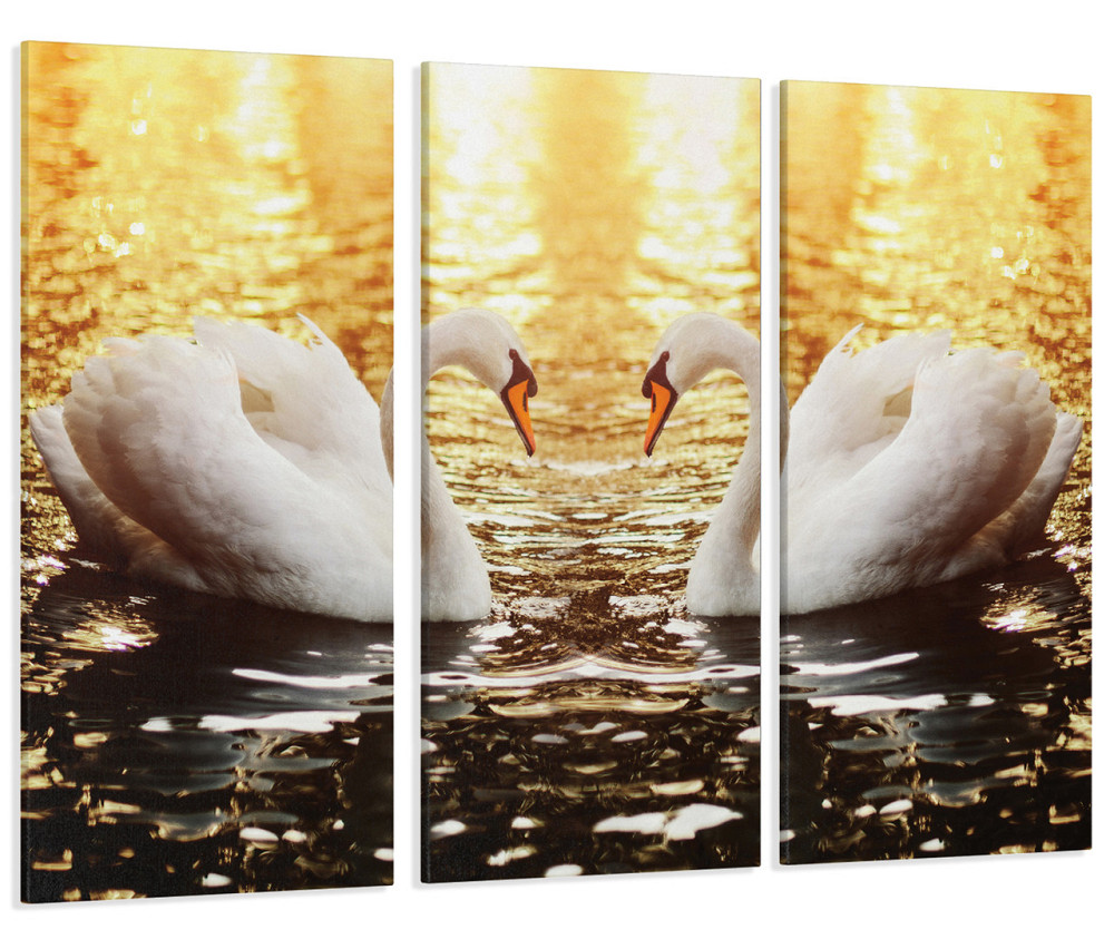 Модульная картина Пара Лебедей Art-121_XXL 53x100 см Киев - изображение 1