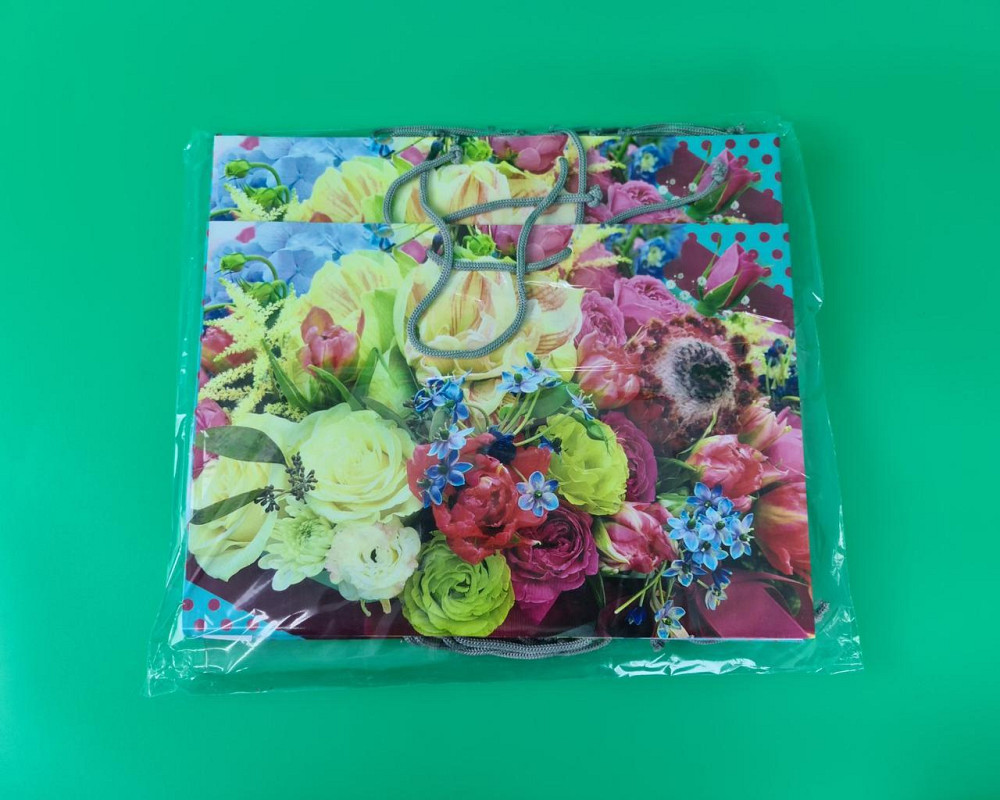 Бумажный большой горизонтальный пакет  36/22/10(артBG-111) (12 шт) Харьков - изображение 2