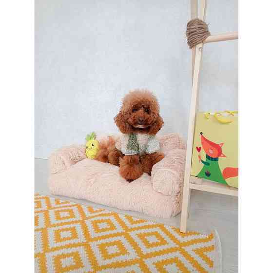 Хутряний диван лежак для собак і кішок спальне місце для тварин знімни Incor бежевий 10079 Київ