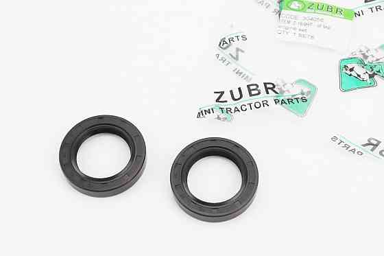 Сальник (30x45x8) к-кт 2шт, колінвала, 173F/178F Киев