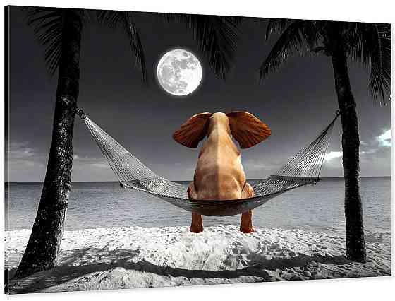 Картина холст в гостиную / спальню Слоник  на пляжі    MLP_4 40x80 см Киев