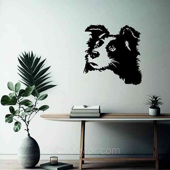 Декоративне настінне Панно «Бордер-Колі», Декор на стіну Київ