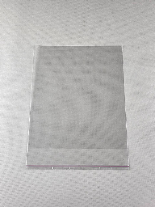 Пакети з клейкою стрічкою 22см 25см 25мк (1000шт) Харків - фото 1