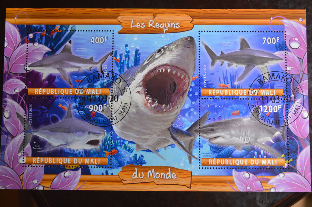 Мали. Марки. Фауна. Блок. 2020 год (В-2) Полтава - изображение 1