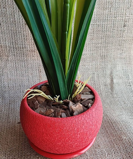 Штучна латексна орхідея цимбідіум у керамічному кашпо жовта Дніпро - фото 4