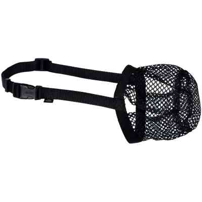 Намордник для собак Trixie для захисту від отрут S-M 22 см/18-40 см (4011905175935) Вінниця