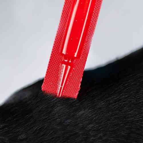 Капли Provet PROFILINE для собак 20-40 кг инсектоакарицид4 пипетки по 3 мл Киев