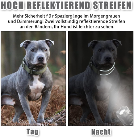 Нашийник для собак Heydoggy розмір М Луцьк