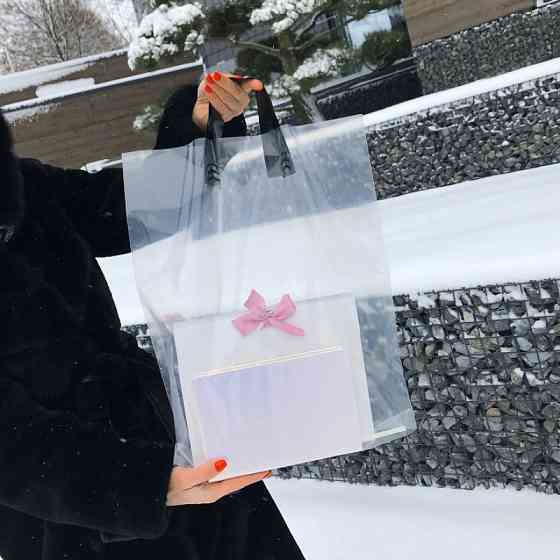 Пакет пищевой LDPE прозрачный, 40х45(+3)см, 60 мкм, с петлевой черной ручкой, (50 шт.) Павлоград