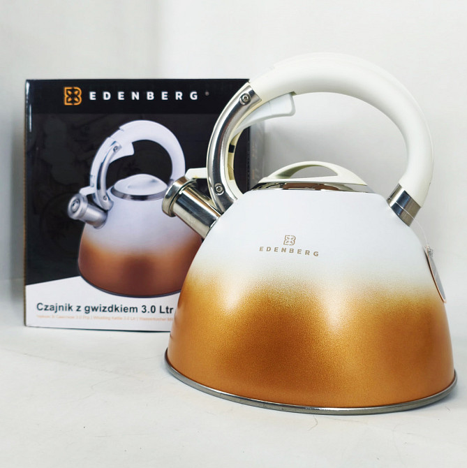 Чайник для газовых плит Edenberg, Чайник с утолщенным дном и прорезиненной ручкой LQ-70 Львов - изображение 6