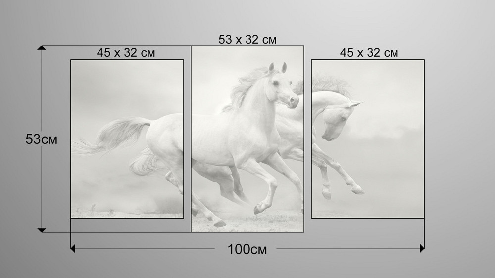 Модульна картина Коні Art-125_3 Київ - фото 3