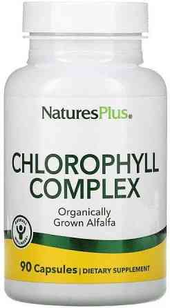 Хлорофіл Nature's Plus Chlorophyll 90 капс Київ