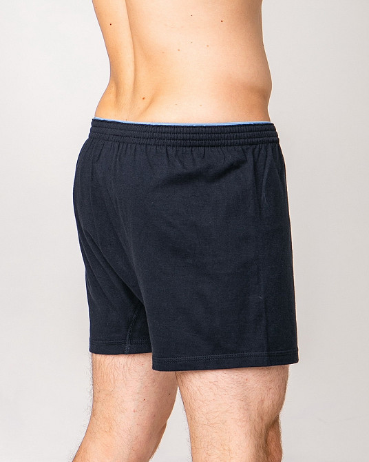 Семейные мужские трусы 100% хлопок Ozkan 0041-3 XXL Киев - изображение 3