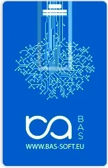 Сертифицированный курс Bas Куп: Комплексное управление предприятием Днепр