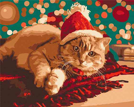 Санта котик Київ