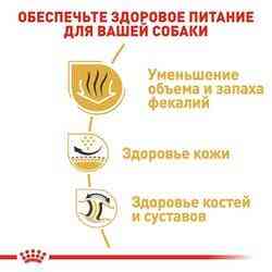 Royal Canin Bulldog Adult (Рояв Канін Бульдог Едалт) сухий корм для англійських бульдогов від 12 місяців 12 кг. Запоріжжя